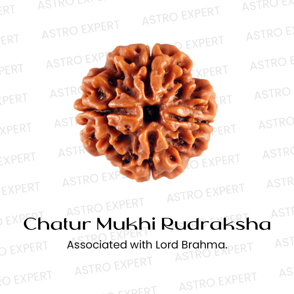 Chatur Mukhi Rudraksha