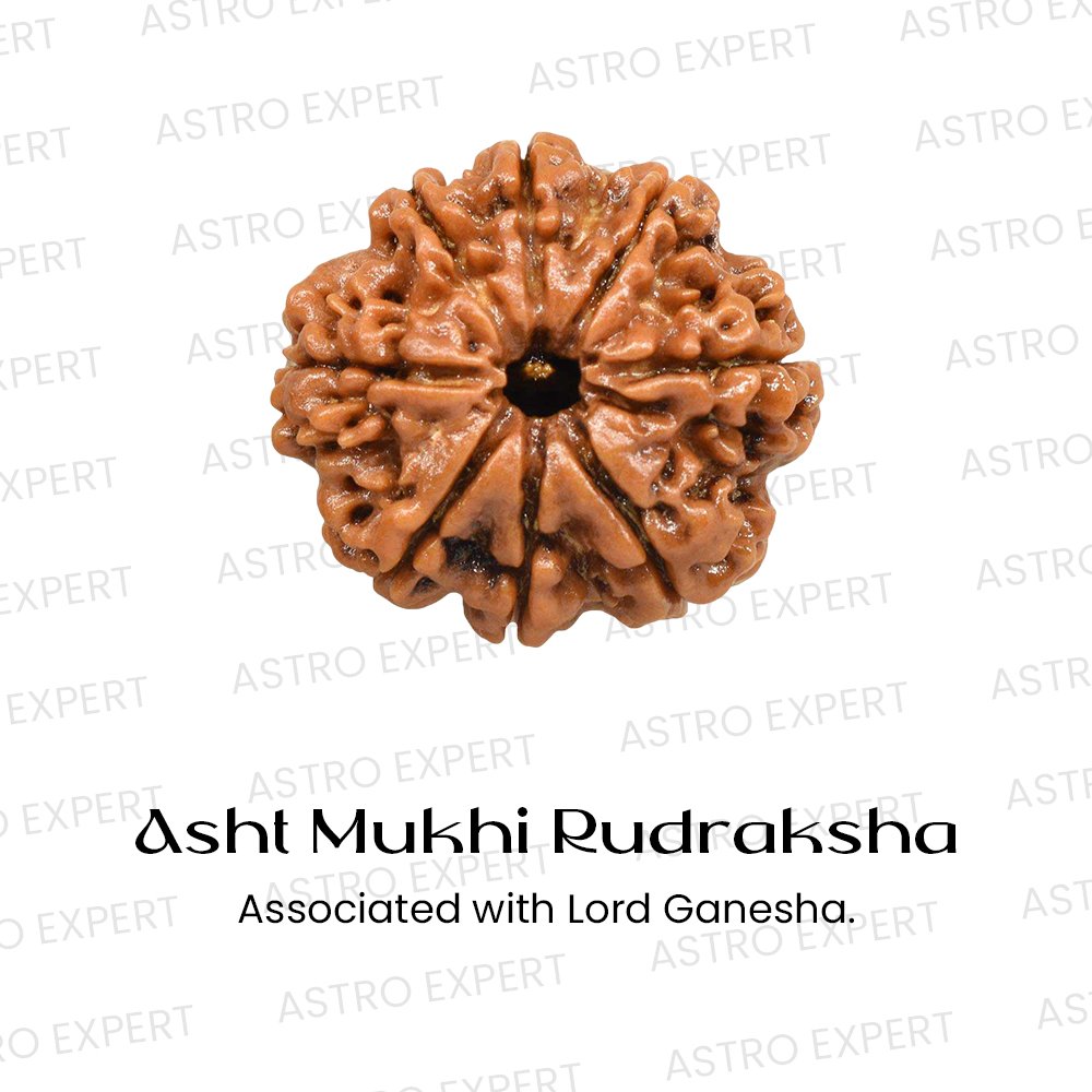 Asht Mukhi Rudraksha