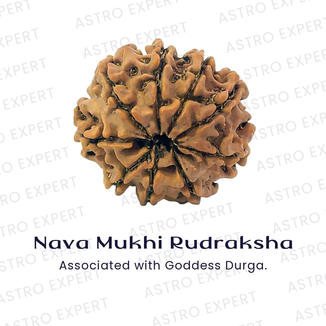 Nava Mukhi Rudraksha