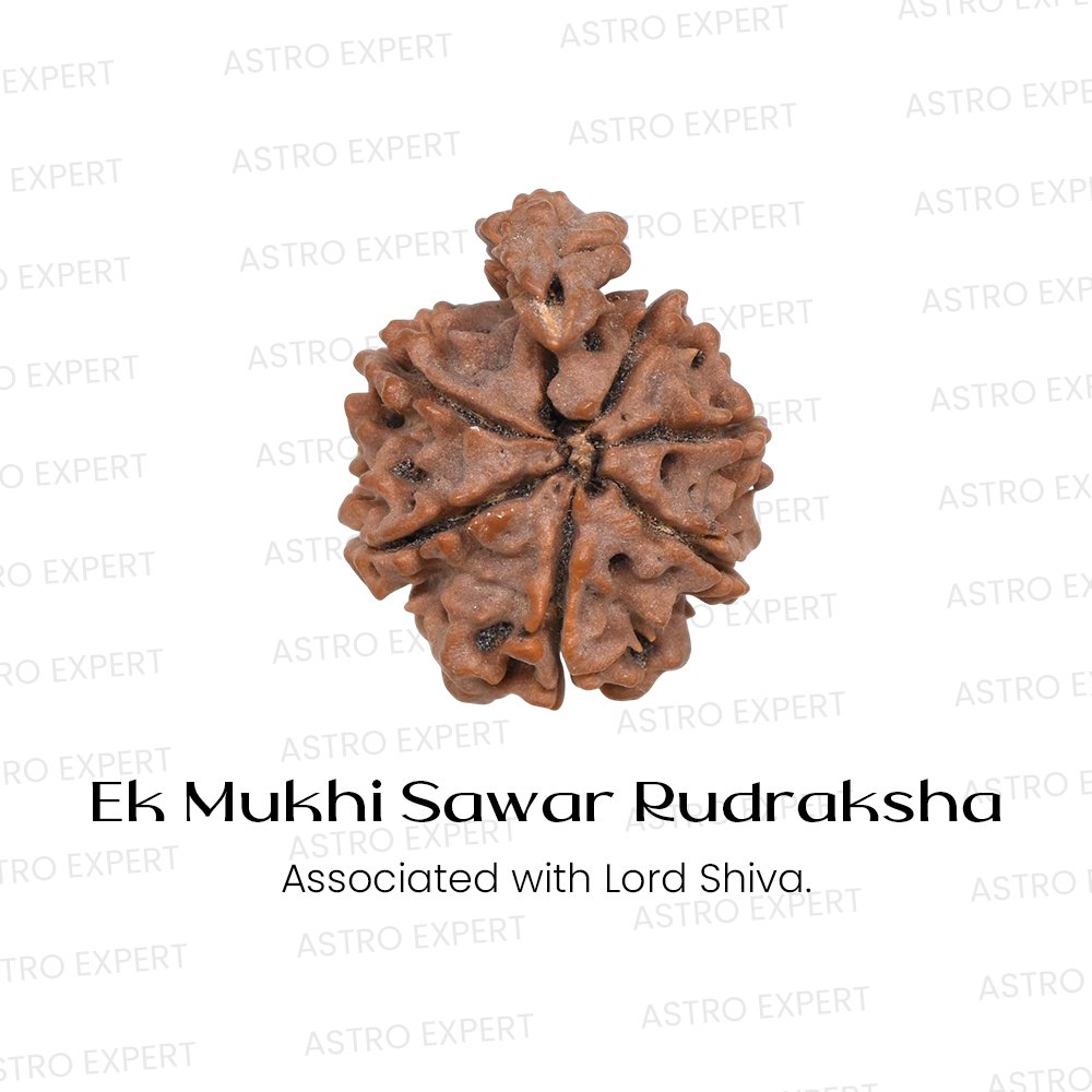 1 Mukhi Sawar